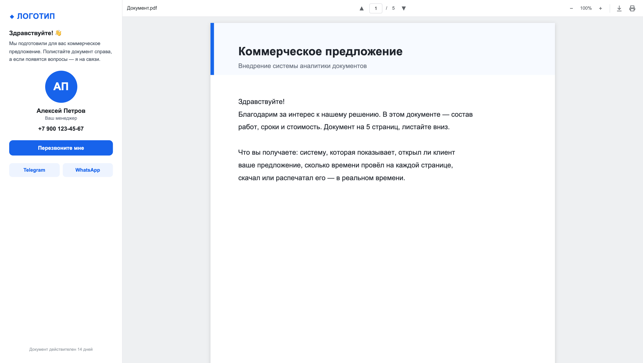 Брендированный режим просмотрщика